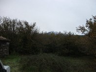 fugio monte Stornello-20101031 008